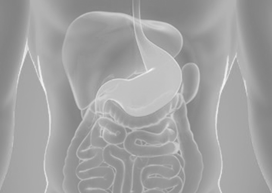 endoscopia-digestiva-alta